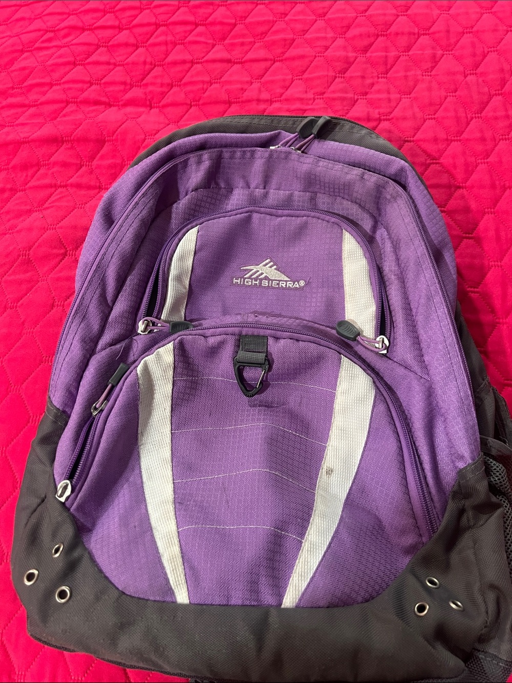 High Sierra Purple and Gray Everyday Backpack